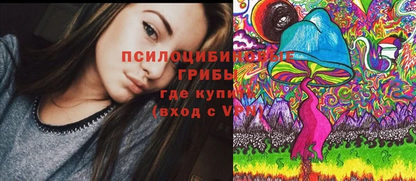 mdpv Верея