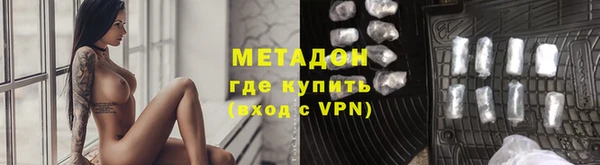 прущие грибы Богданович