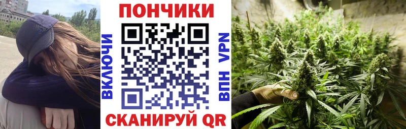Шишки марихуана Amnesia  Дно 